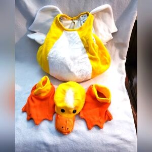 Duck costume